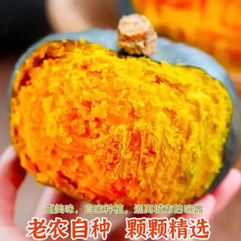 正宗沙地贝贝南瓜粉糯香甜板栗味南瓜5斤适合孕妇宝宝辅食低卡