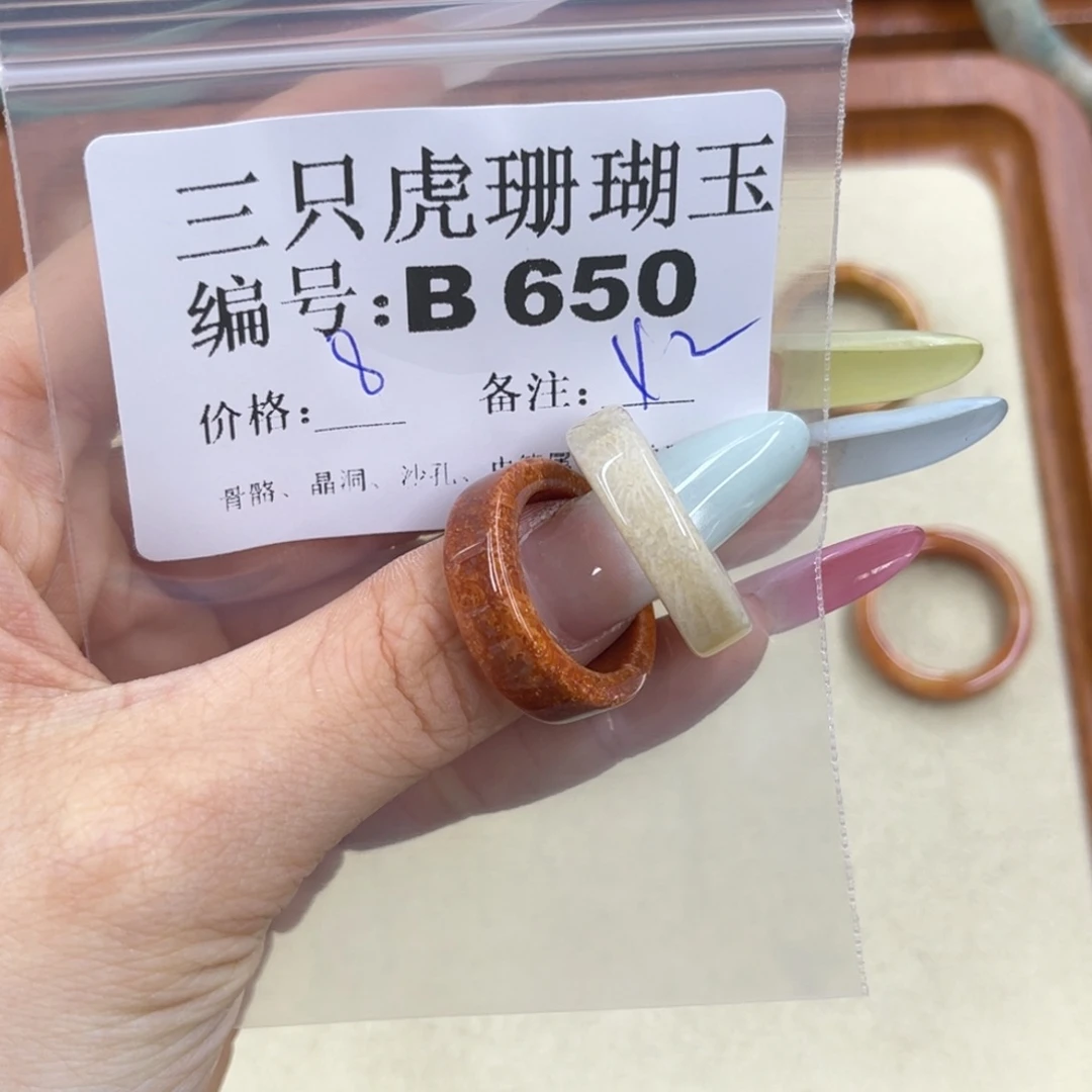 一***雨硅化珊瑚（珊瑚玉）h未镶嵌