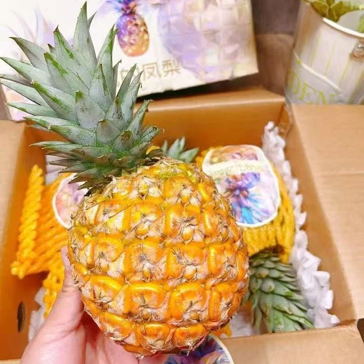 【瓦的芒果凤梨】带箱5.6斤左右新鲜