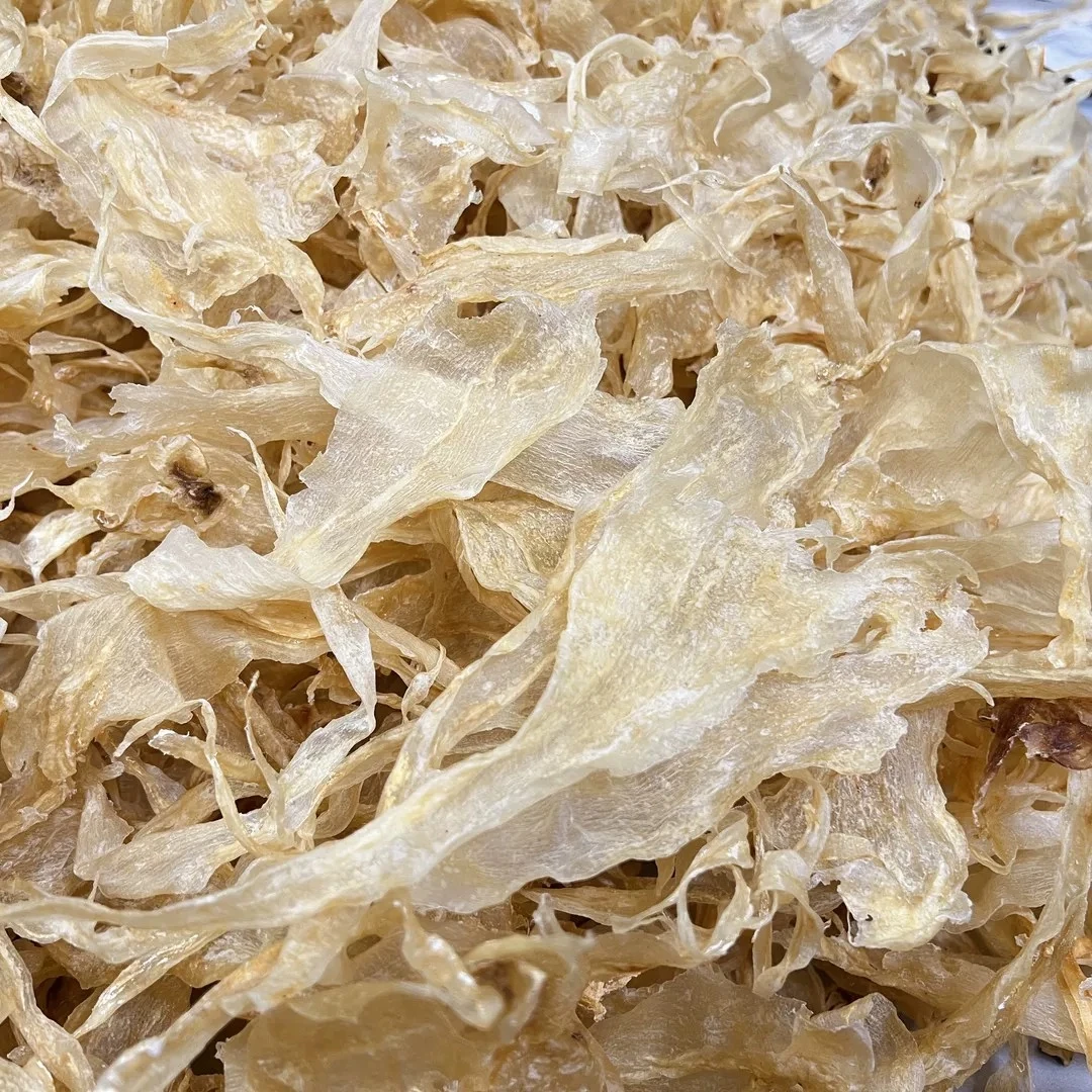 北海深海天然公肚鳘鱼胶 煲汤炖甜品