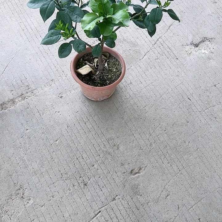 潇*哥123556778889999