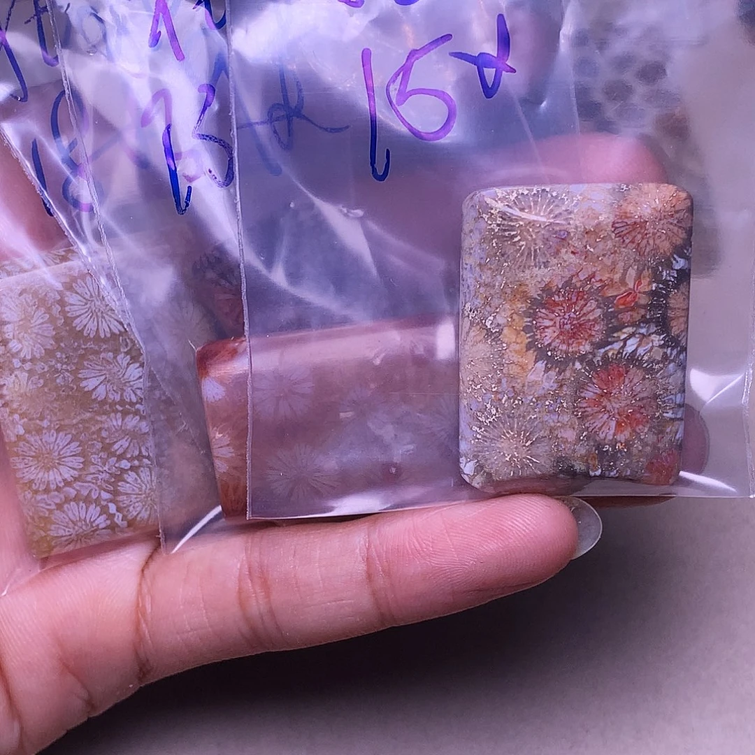 北***风硅化玉合金珊瑚玉