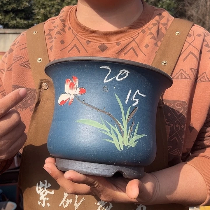 紫砂紫砂花盆盆栽