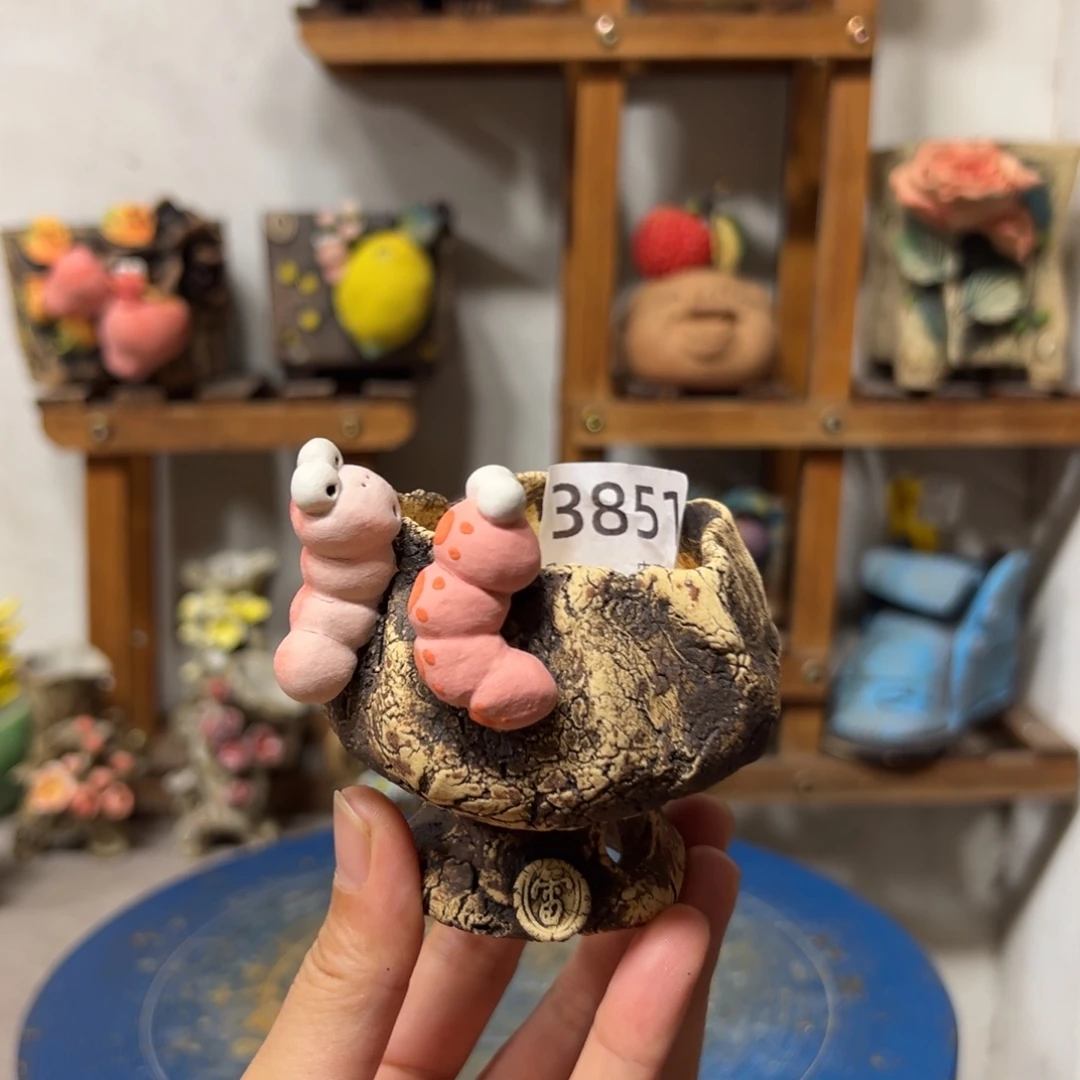 3851 号，内口5外高8