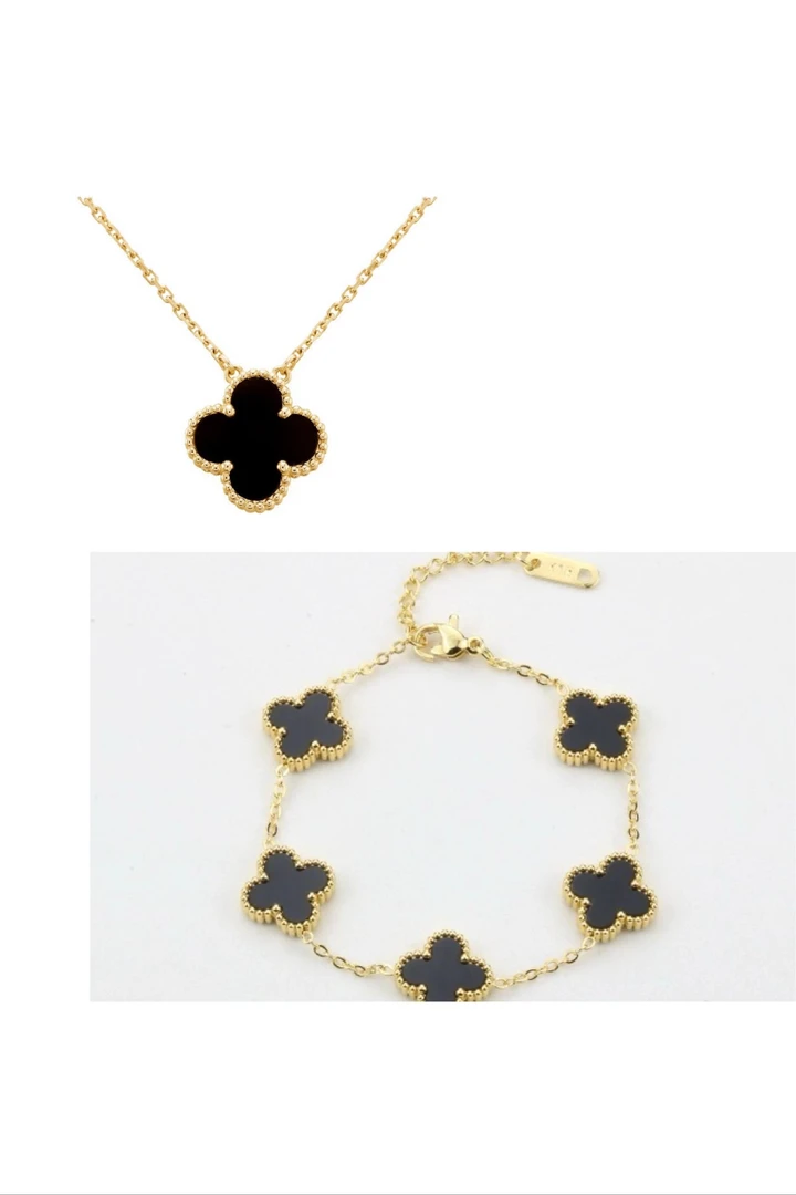 钛钢项链 花花草草系列双面黑色锁骨链（送手链）