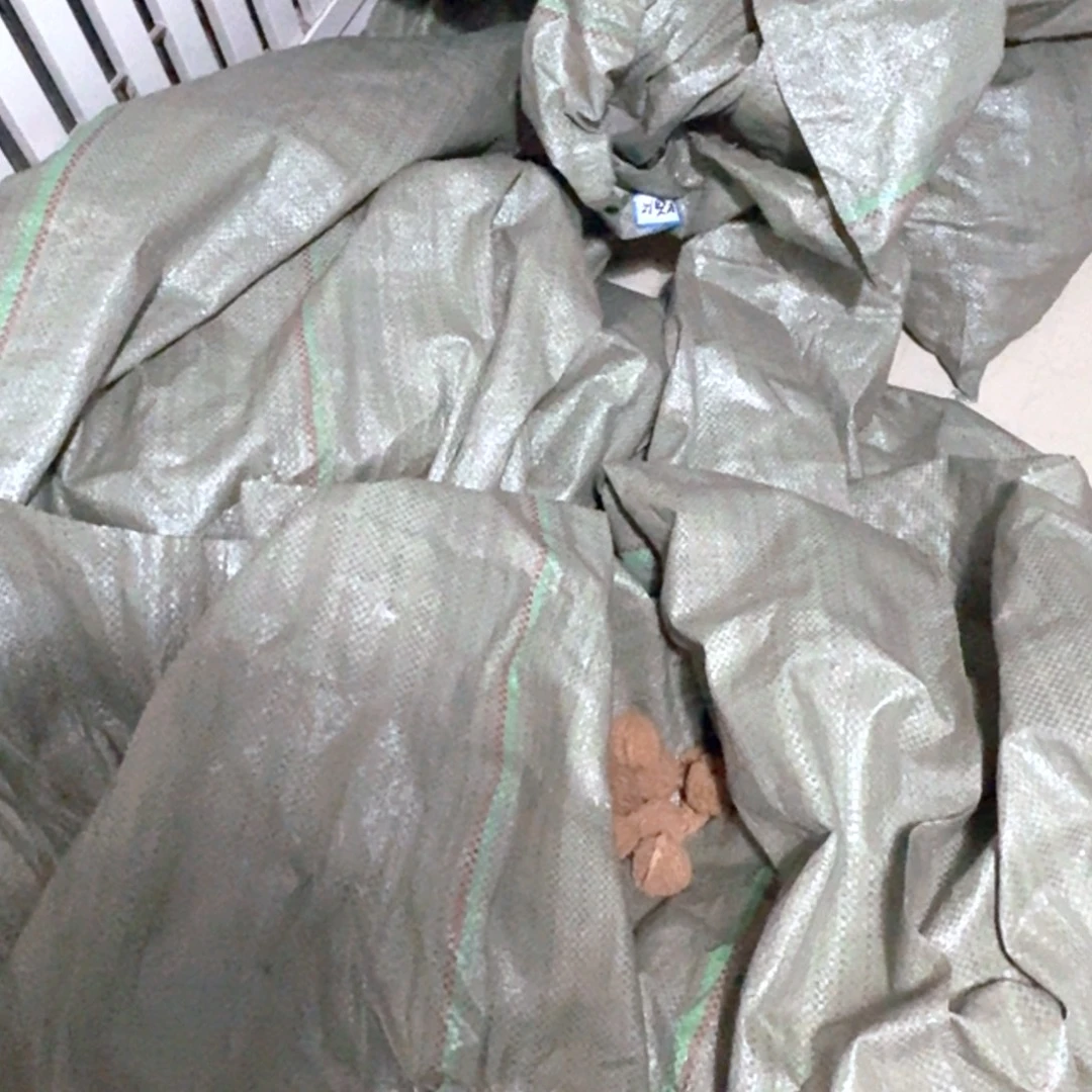 拉***店文玩核桃吊坠南将石一袋子黄