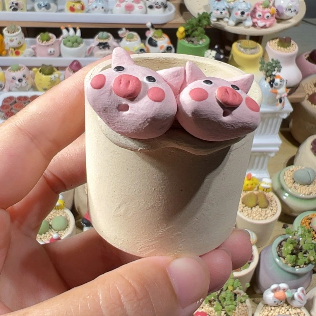 多肉植物55号素烧盆