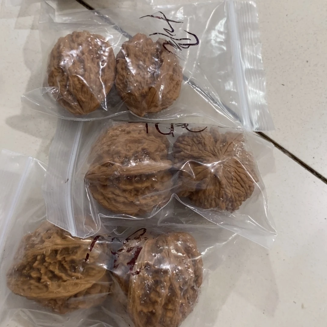 文玩核桃吊坠九尾粗筋有瑕疵团购