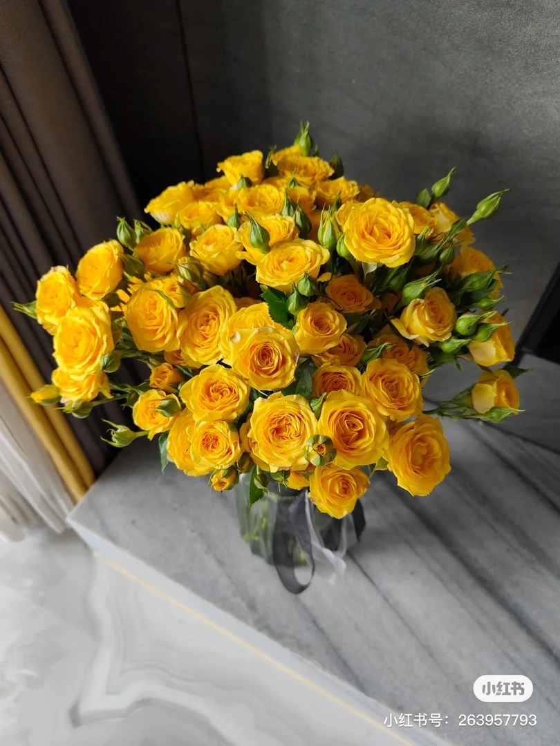 梦幻芭比多头玫瑰10支