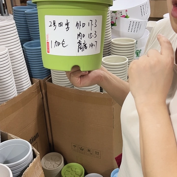 特价2号四季盆口17高14.5混色无托10只