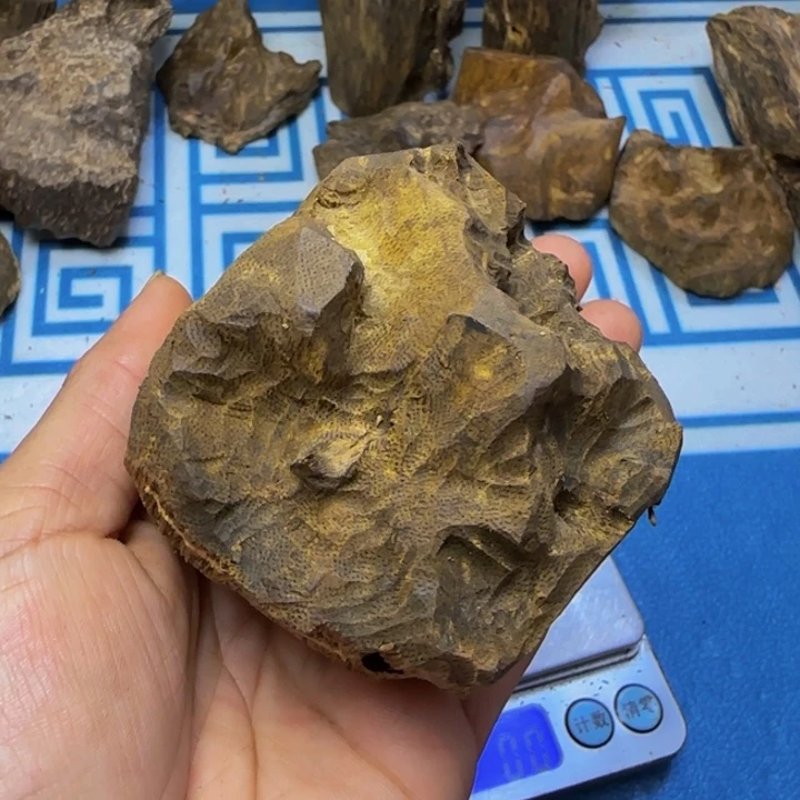 木绿奇陆河锯口包头59克