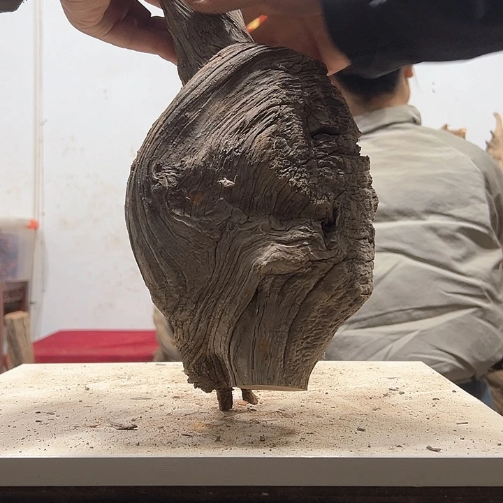 柏木木****店我们都是好孩子啊