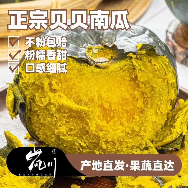 【不粉包赔】贝贝南瓜 香甜甘甜真贝贝板栗瓜精选产地发货严选