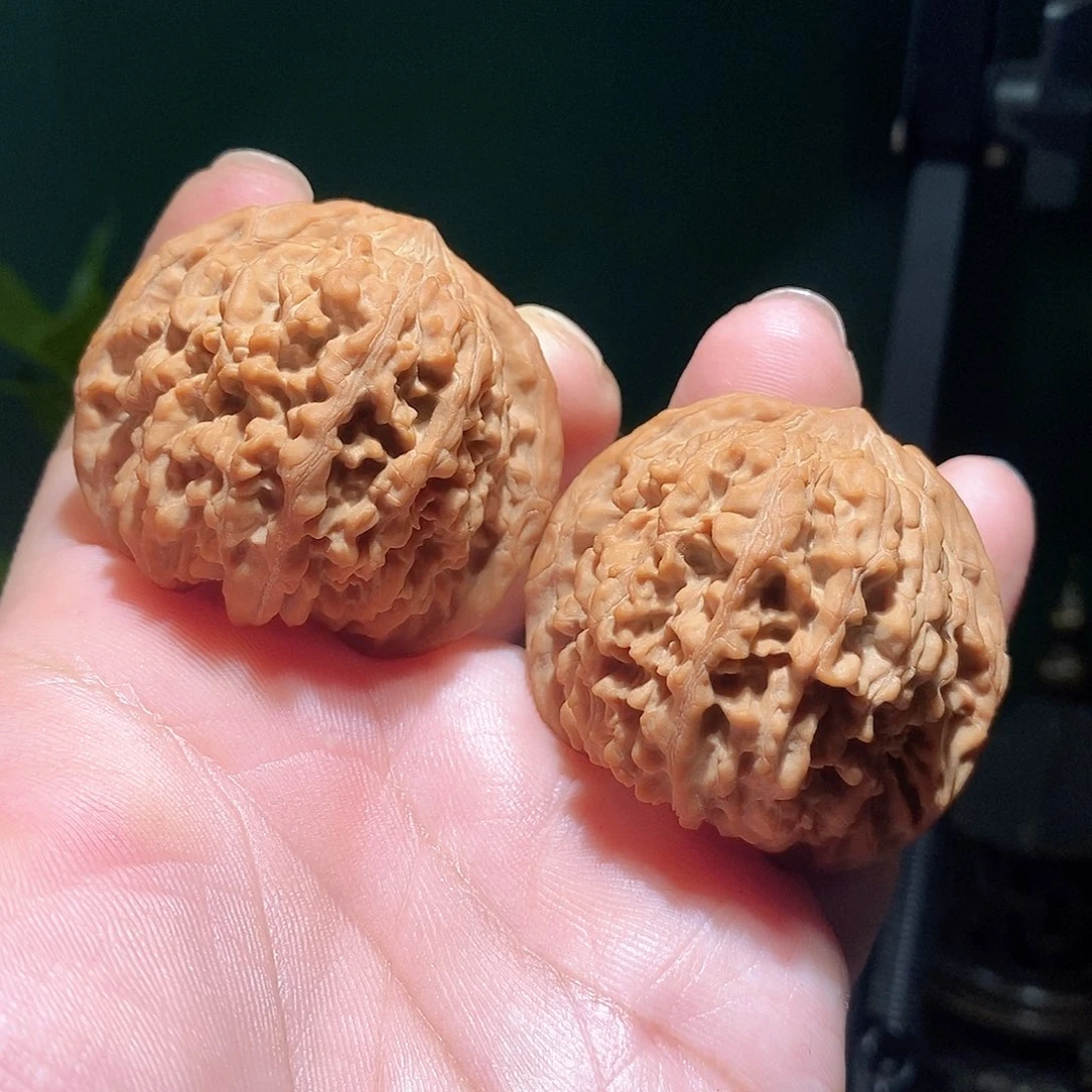 把件文玩核桃44满天星全品