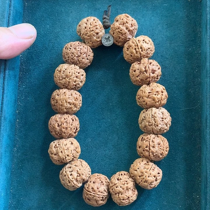 手串金刚菩提梅花