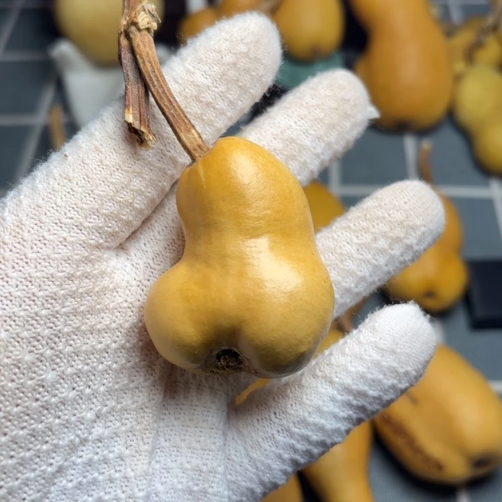 那***星色差66666666666666