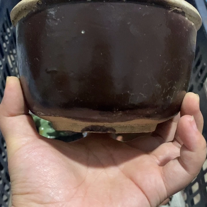 呆***也瓷片zxxzzzzzzzzzzzzzz