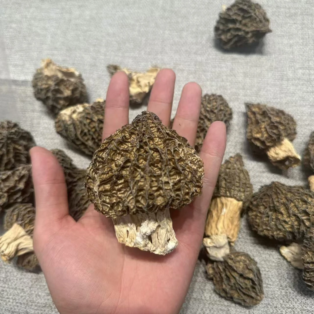 满心海味特大精品仿野生羊肚菌2025新货林地炖汤食用菌菇煲汤滋补