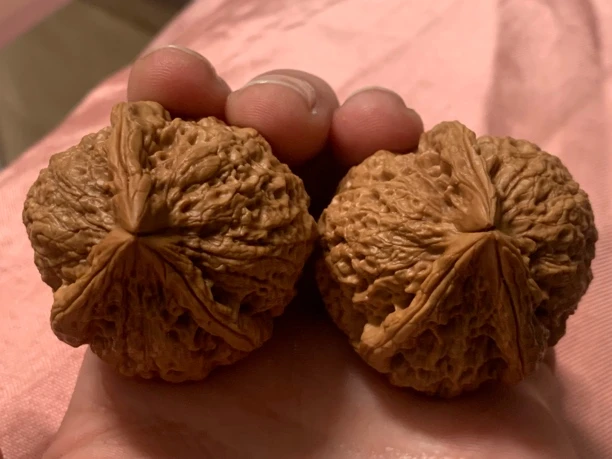 云铁核桃，铁狮子3棱收藏款，尺寸45