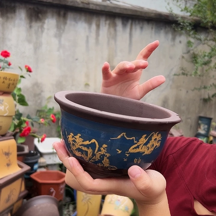 17蓝色三角金钟一个