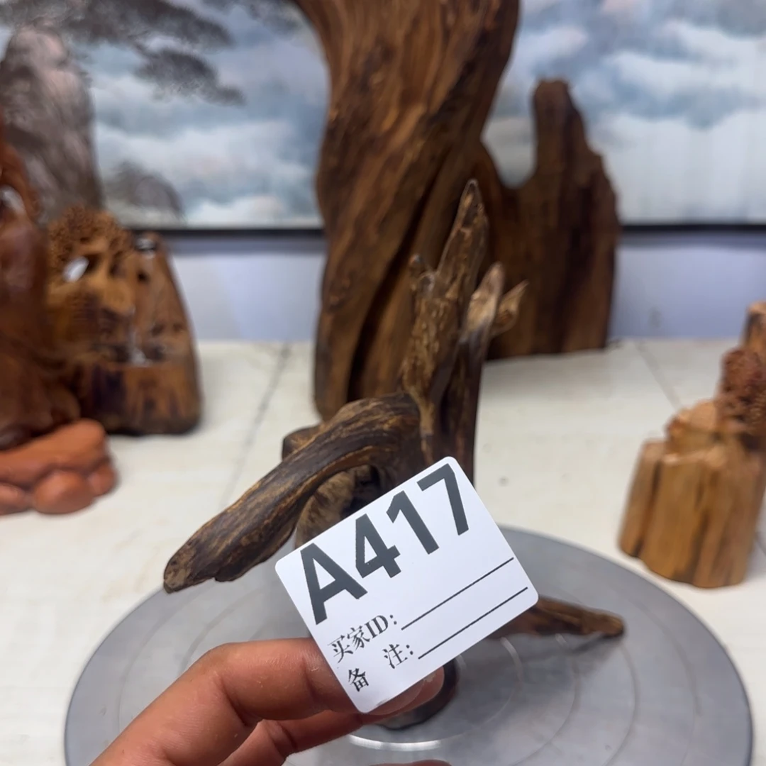 @***生木哦哦哦哦哦哦哦哦哦哦38