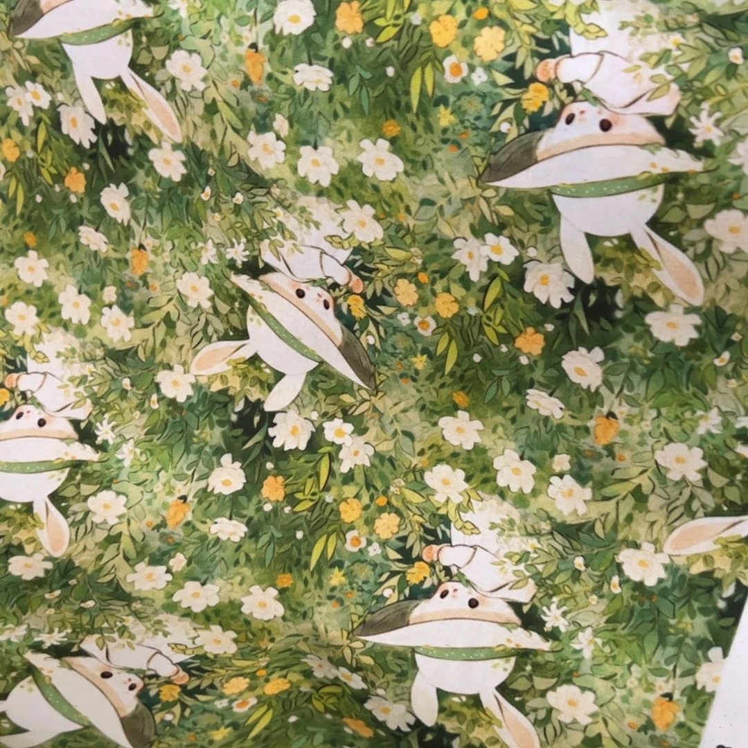 棉一米价1.1宽纯棉平布果子布艺4