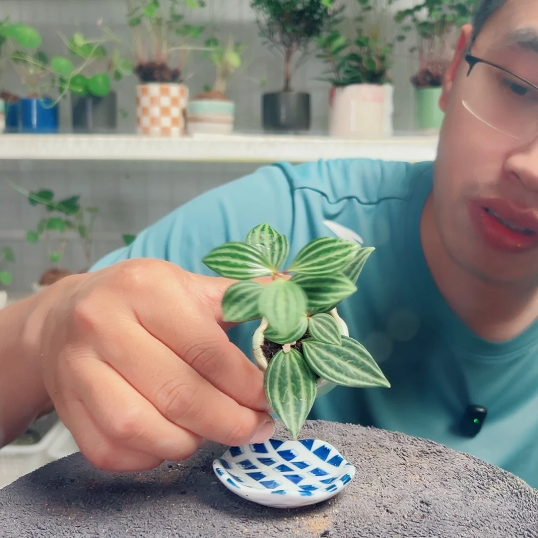 一***学无花朵40