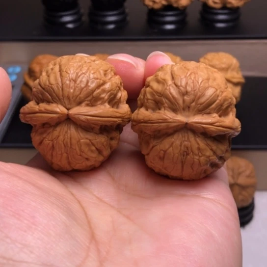 文玩核桃把件金龟玉甲15