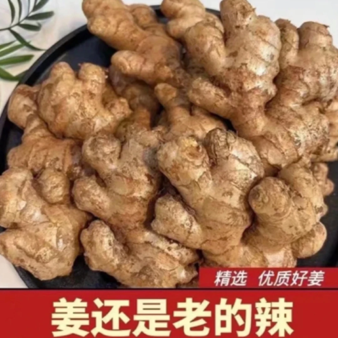 [出口级精选]云南小黄姜现挖自己家种植新鲜净重生姜鲜姜包邮香辣
