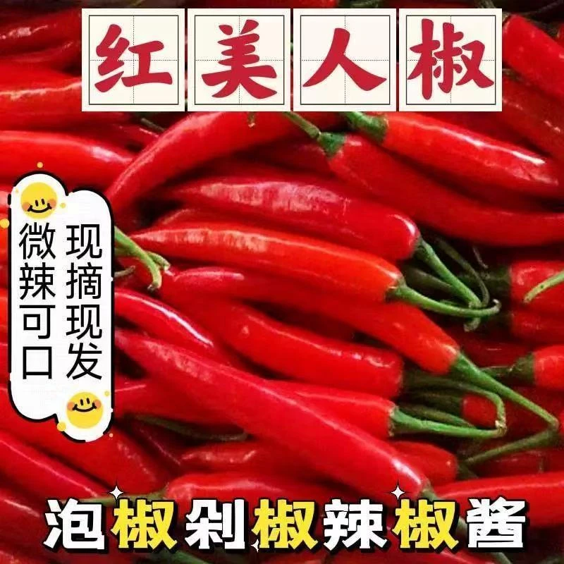 新鲜现摘红辣椒美人椒非红线椒小米椒尖椒做泡椒剁椒辣椒酱3/5斤