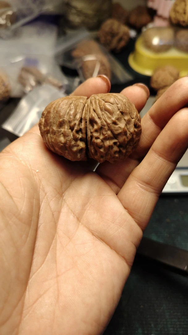 精品四座楼文玩核桃把玩盘玩官帽狮子头手把件桃核手玩麒麟纹古玩