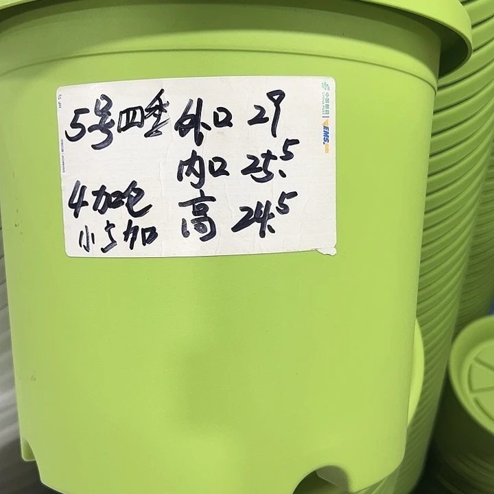 特价5号口29高24.5白色6只带托