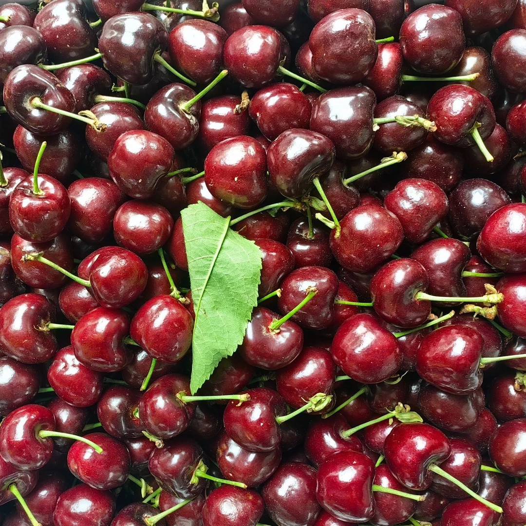 【顺丰次日送达】陕西车厘子