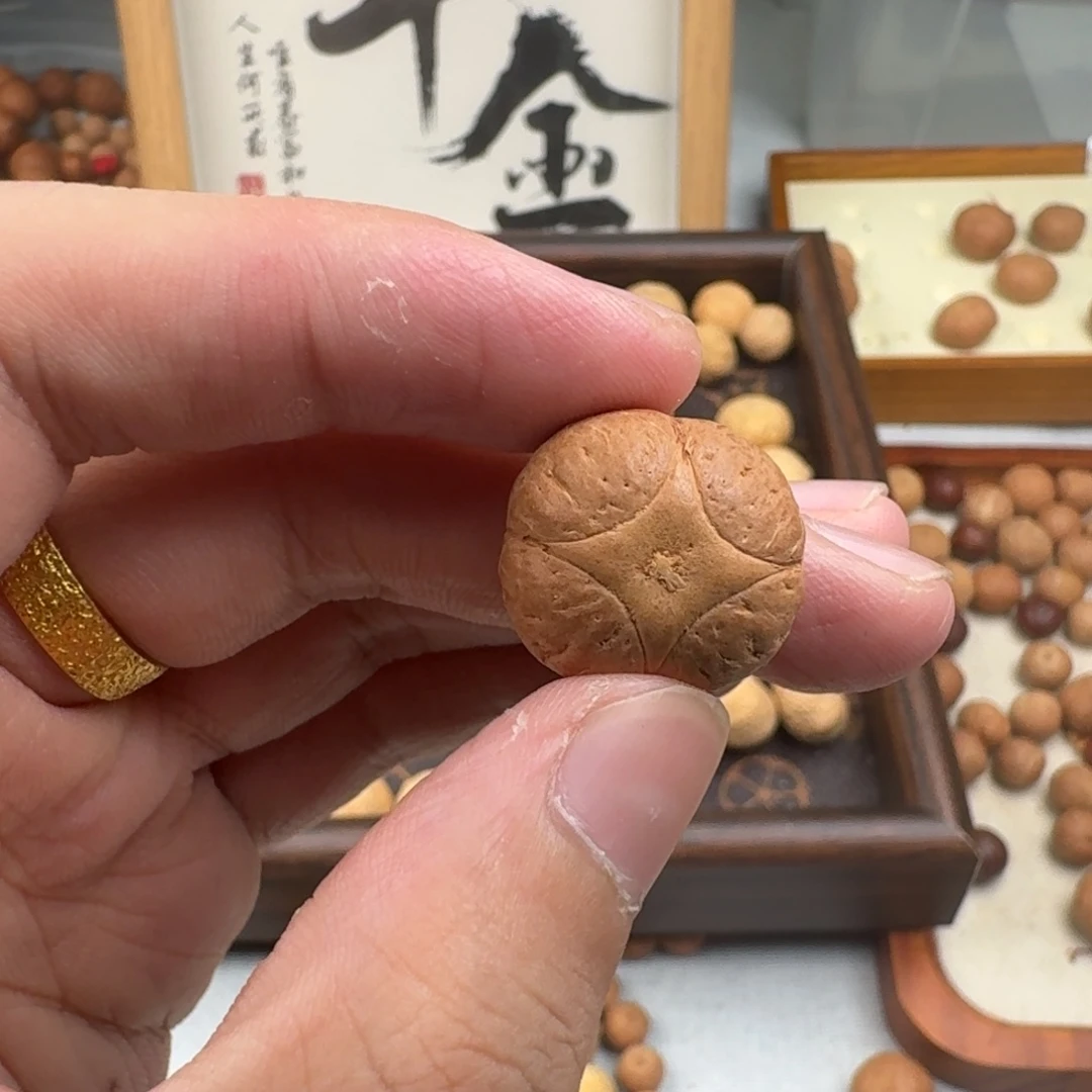 流***_凤眼菩提手串麒麟