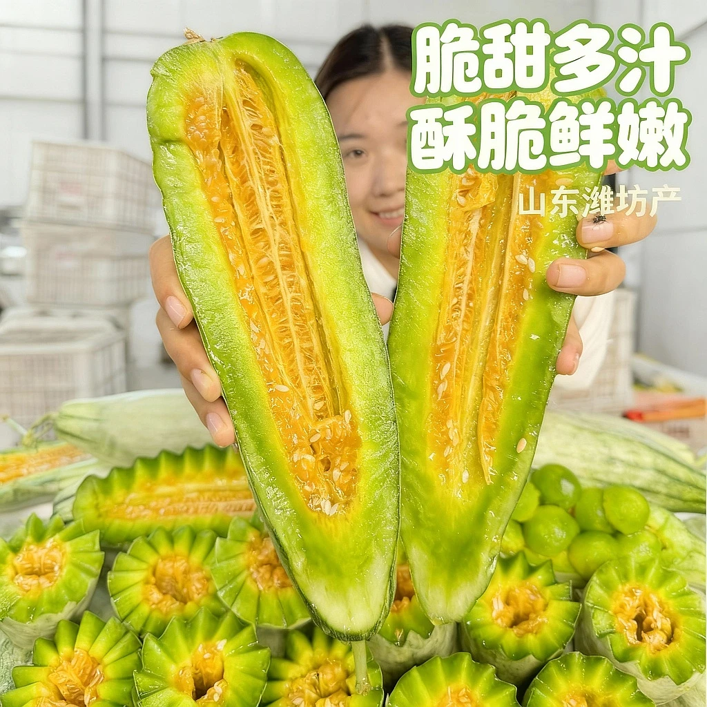 【脆甜多汁】山东头茬正宗羊角蜜新鲜采摘 甜瓜蜜瓜香瓜5/8斤