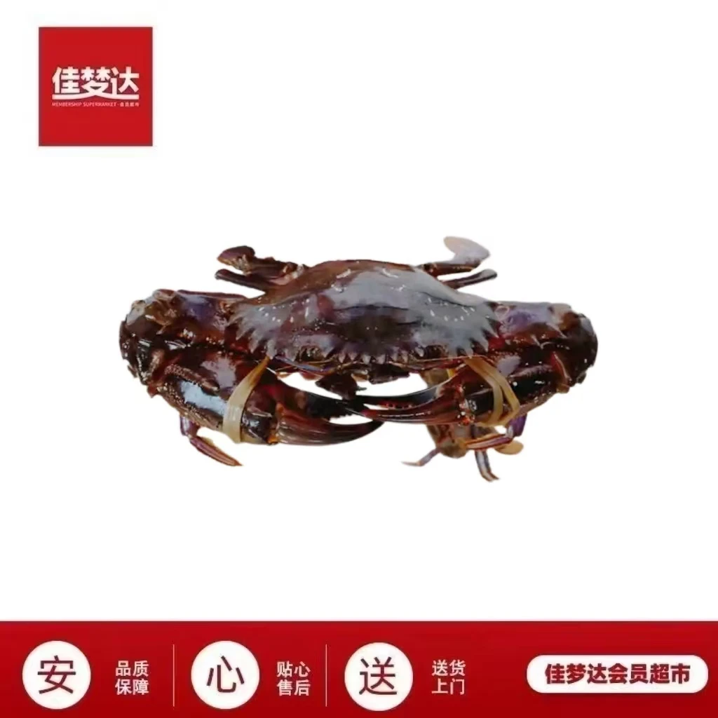 优选赤甲红（保鲜不包活运输过程可能出现断氧介意慎拍）