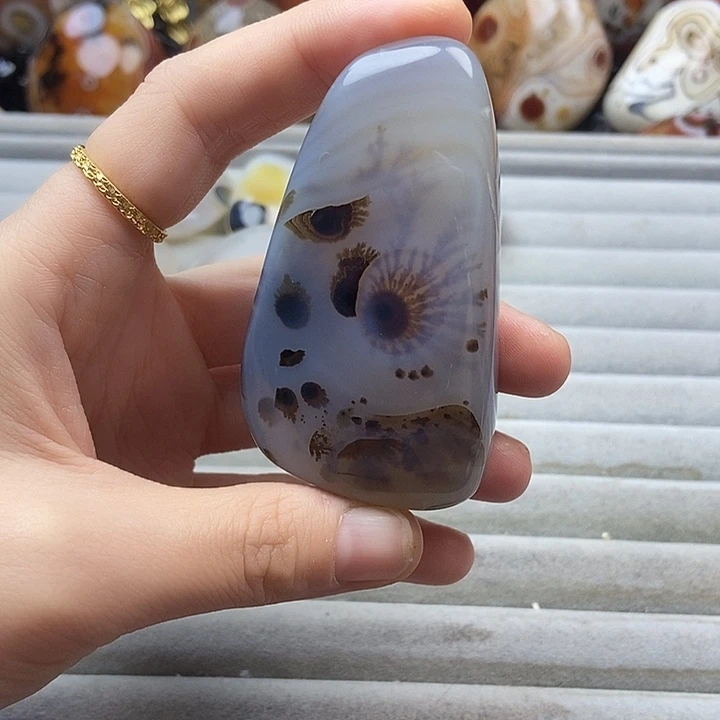 双***鱼玛瑙/玉髓未镶嵌珠宝奇石