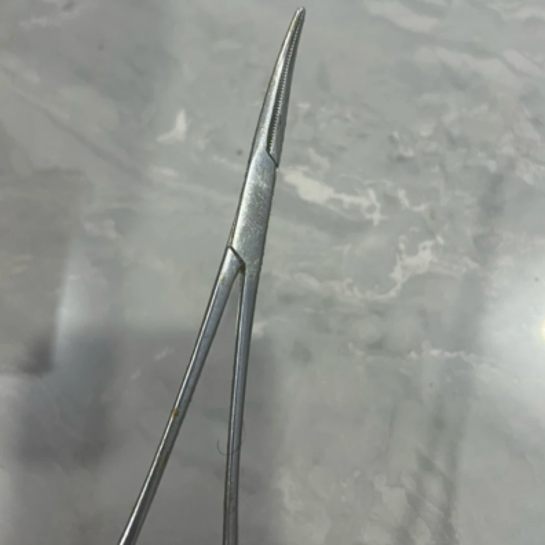 【79F-38】不锈钢弯钳