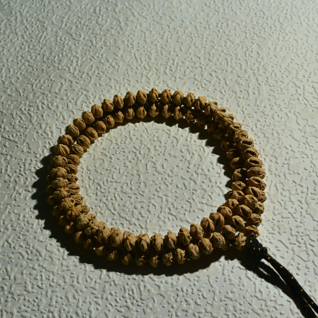 热振柏香籽 横打飞碟 9.2mm