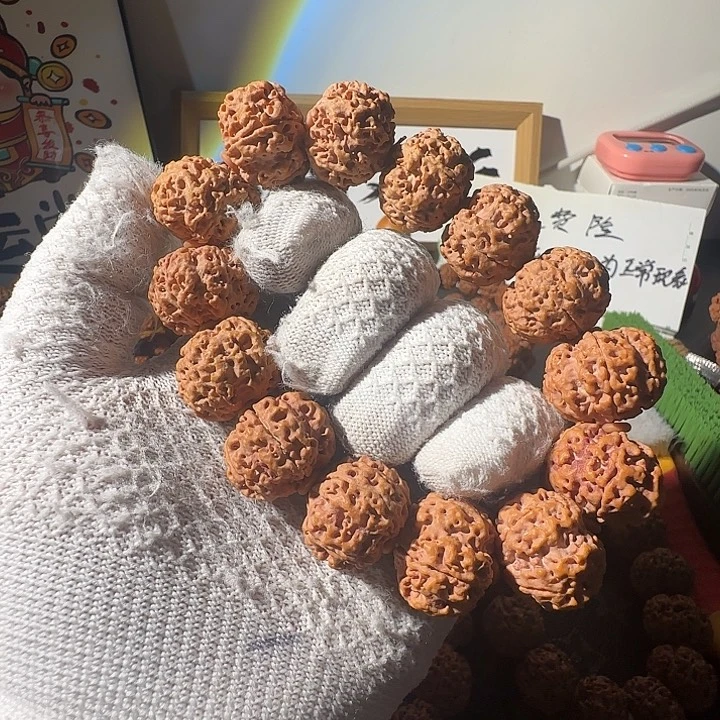 付***付吊坠金刚菩提大金刚菩提一物一图