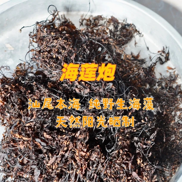 广东汕尾沿海纯细条小叶海草煲汤料海藻包邮