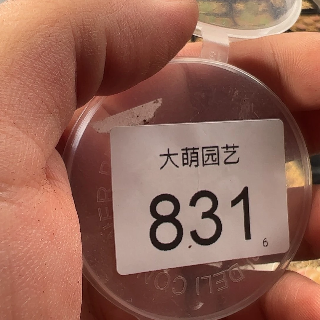 流*瑶0000831 一物一拍……