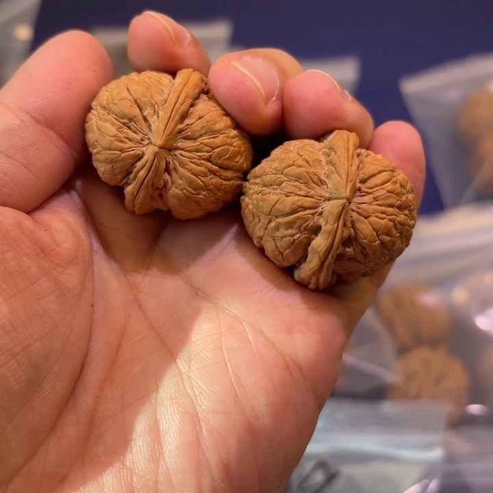 吊坠文玩核桃金甲蟾9