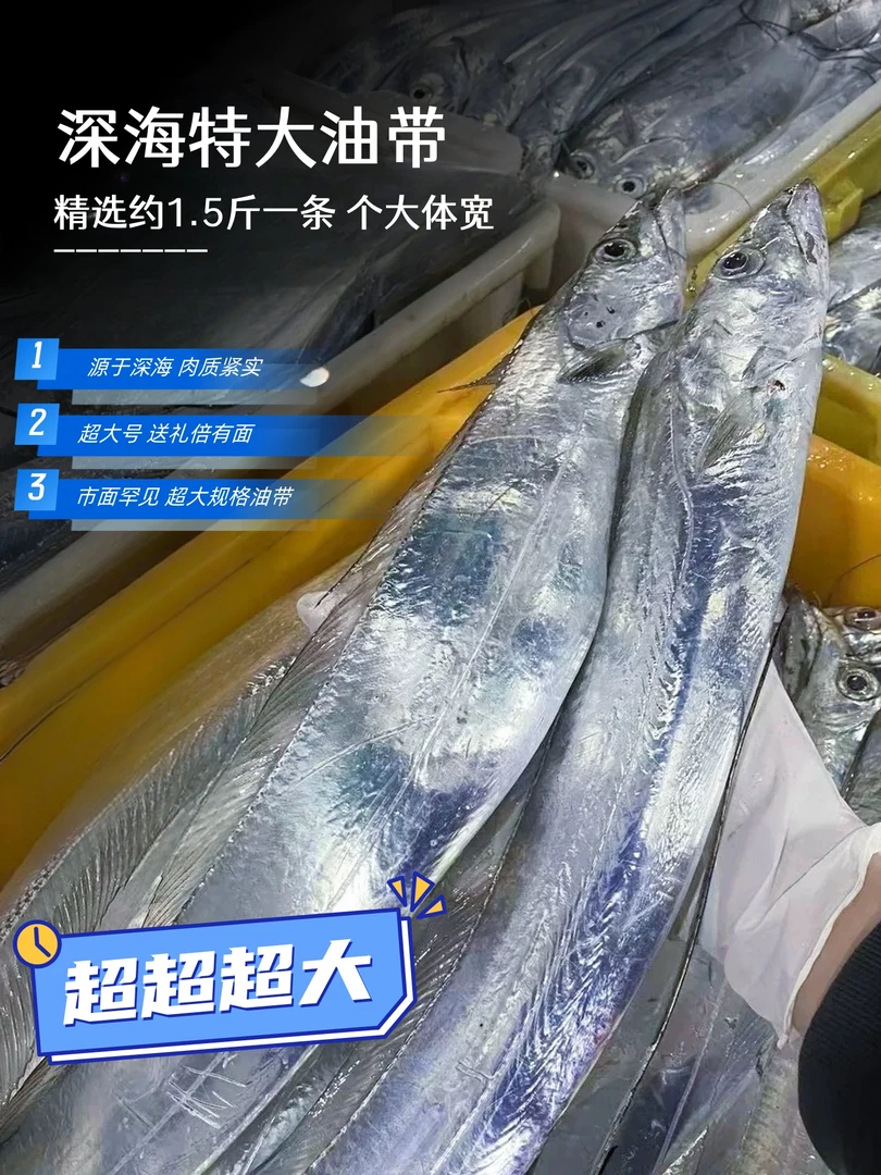 深海捕捞超大油带 单条1.5斤到手四条 约6—6.5斤10GG