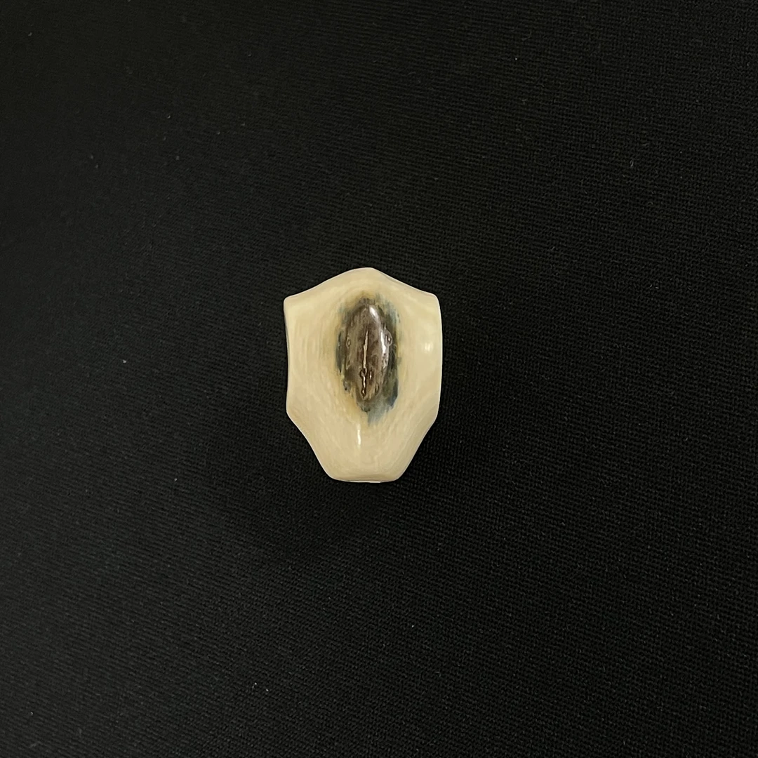PE126 蓝眼鲨鱼背三通 只做天然猛犸牙