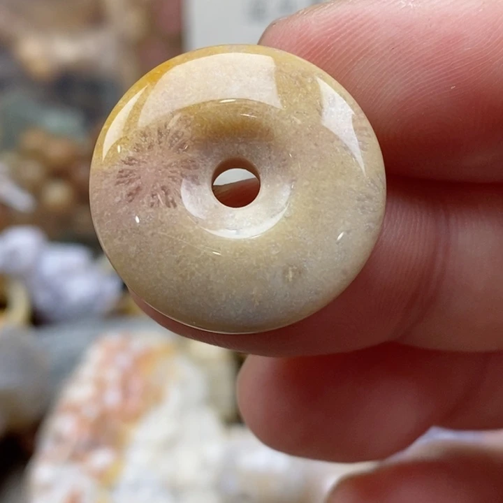 硅化珊瑚（珊瑚玉）未镶嵌颈饰小