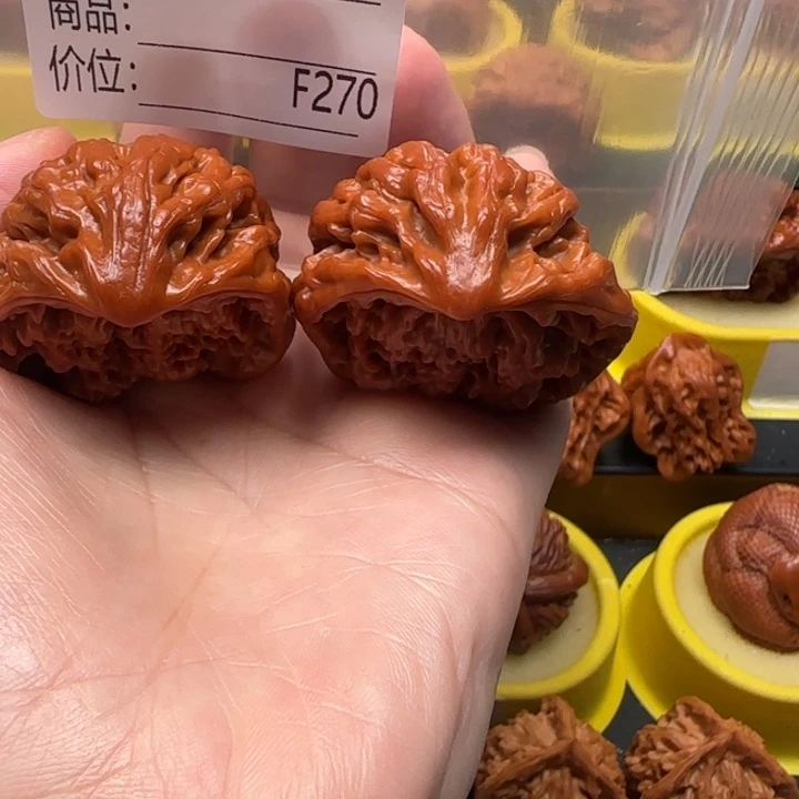 秃***手核桃蛇王蛇王蛇王42