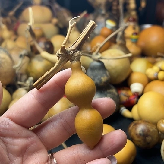 煤**罐葫芦葫芦葫芦葫芦