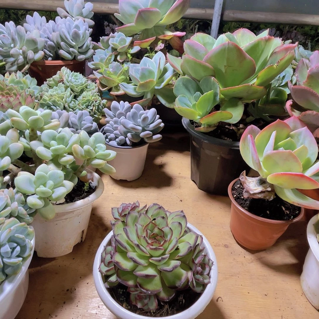 万***安0000000000000000303