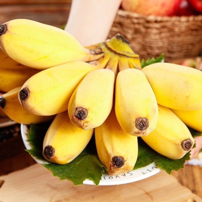 J【青皮发货】新鲜现摘苹果蕉粉糯香甜新鲜水果整箱装
